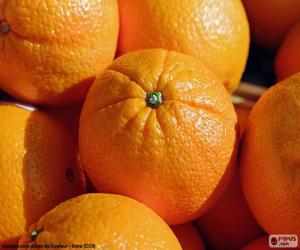 пазл Апельсины